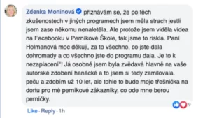 komentare-facebook-pernikova-skola-akademie-13